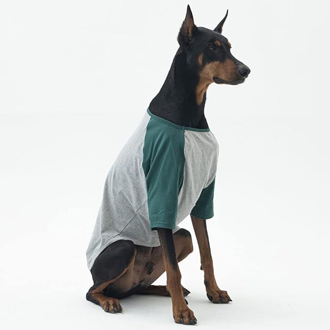 Dog Shirt for Small and Large Dogs Raglan Cotton T-Shirts Soft Breathable Dog Shirts pet Clothes Gray Series (X-Large, Gray/Green)