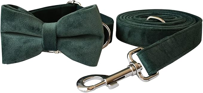 Dog Collar Custom Personalized Engraved Name and Phone Number for Puppy Small Medium Large Pets (XL, Green)