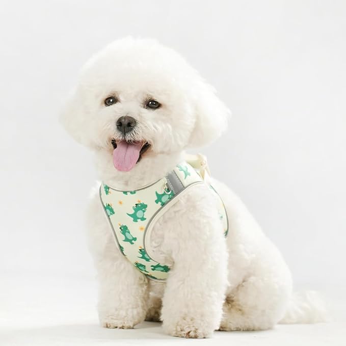 Step in Dog Harness and Leash Set, Flower Adjustable Easy Walk Puppy Harnesses, Soft Mesh No Pull Pet Vest Harness for Small Medium Dogs(Beige, M)