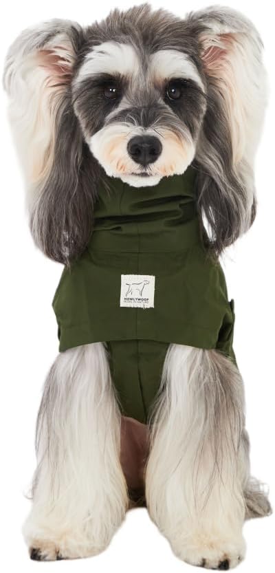 Waterproof Dog Raincoat, Hooded Raincoat for Dachshund Whippet Small Medium Large Dogs, Adjustable Dog Rain Coat Jacket (02 (Dachshund 10-16lbs))