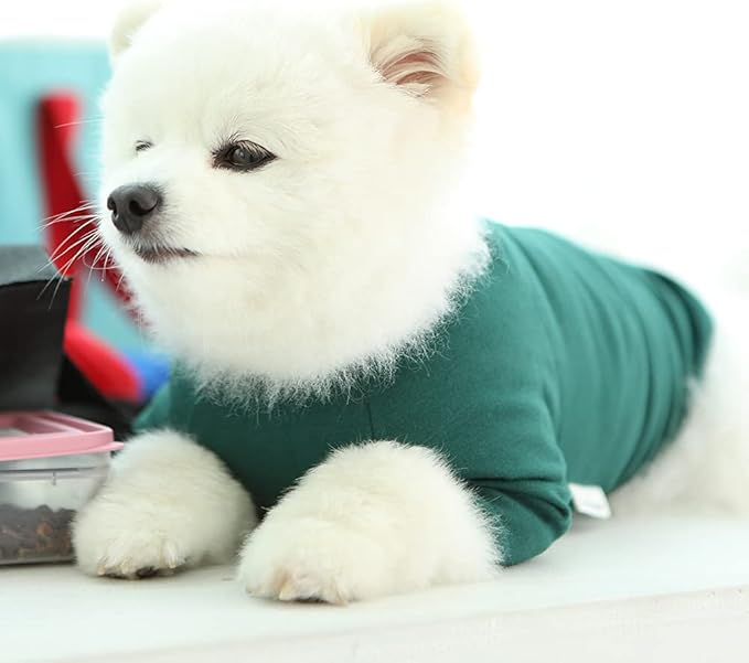 Dog Shirt for Small Dogs Plain T-Shirts Soft Breathable Dog Cotton Shirt pet Clothes (Medium, Green)