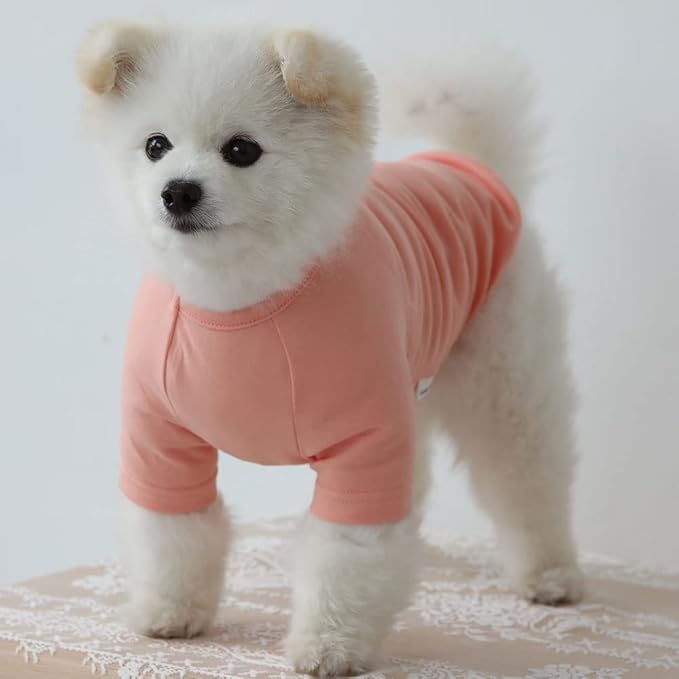 Dog Shirt for Small Dogs Plain T-Shirts Soft Breathable Dog Cotton Shirt pet Clothes (X-Small, Peach)
