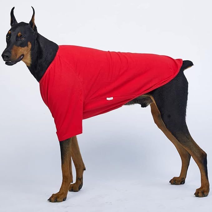 Dog Shirt for Small Dogs Plain T-Shirts Soft Breathable Dog Cotton Shirt pet Clothes (3X-Large, Red)