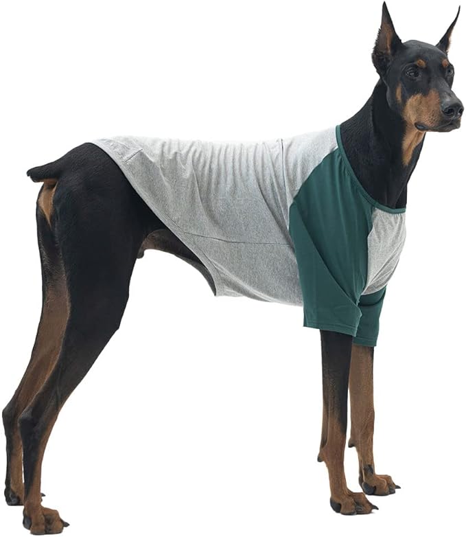Dog Shirt for Small and Large Dogs Raglan Cotton T-Shirts Soft Breathable Dog Shirts pet Clothes Gray Series (X-Large, Gray/Green)