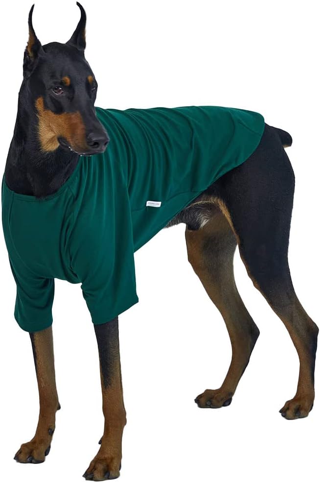 Dog Shirt for Small Dogs Plain T-Shirts Soft Breathable Dog Cotton Shirt pet Clothes (3X-Large, Green)