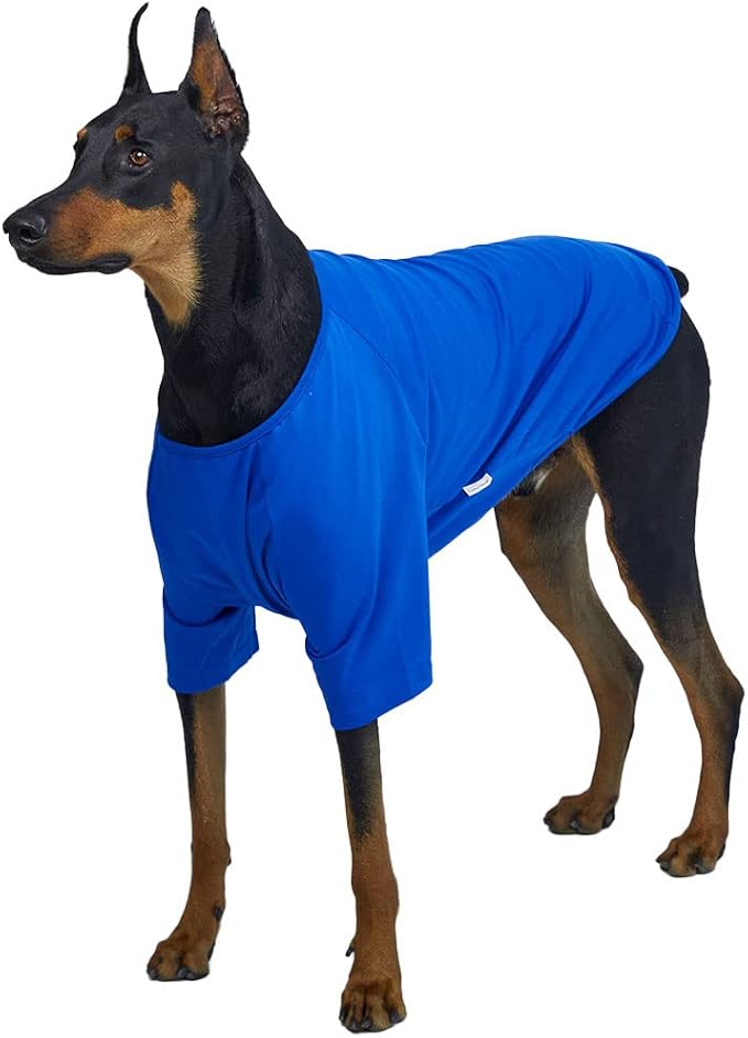 Dog Shirt for Small Dogs Plain T-Shirts Soft Breathable Dog Cotton Shirt pet Clothes (5X-Large, Blue)