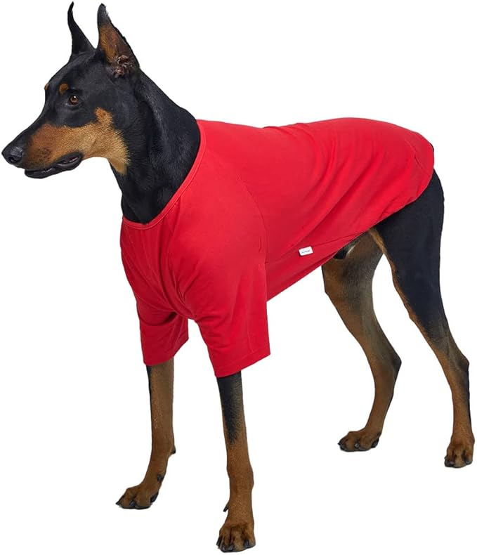 Dog Shirt for Small Dogs Plain T-Shirts Soft Breathable Dog Cotton Shirt pet Clothes (4X-Large, Red)