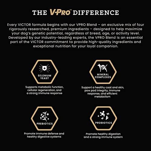 VICTOR Super Premium Dog Food – Select Beef Meal & Brown Rice Formula for Immune and Gut Health – Gluten-Free Beef Meal Dry Dog Food for All Normally Active Dogs of All Life Stages, 5 lbs