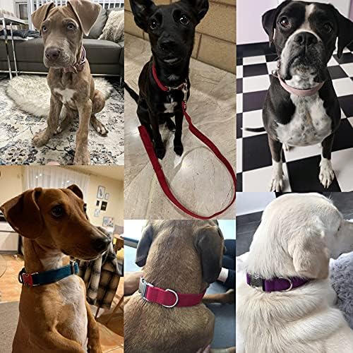Dog Collar Custom Personalized Engraved Name and Phone Number for Puppy Small Medium Large Pets (XL, Sky Blue)