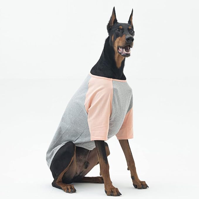Dog Shirt for Small and Large Dogs Raglan Cotton T-Shirts Soft Breathable Dog Shirts pet Clothes Gray Series (4X-Large, Gray/Peach)