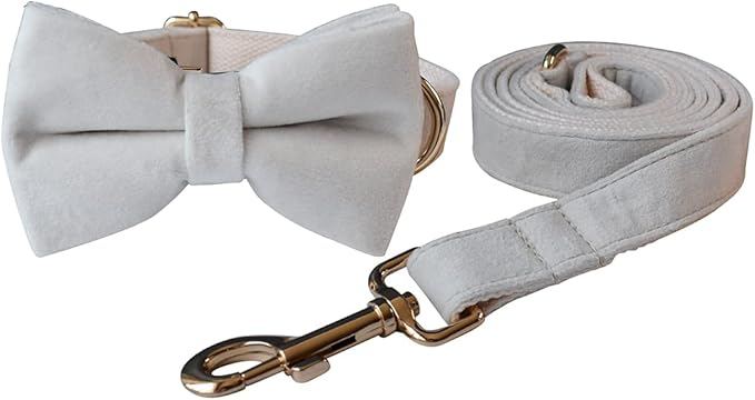 Dog Collar Custom Personalized Engraved Name and Phone Number for Puppy Small Medium Large Pets (M, Cream)