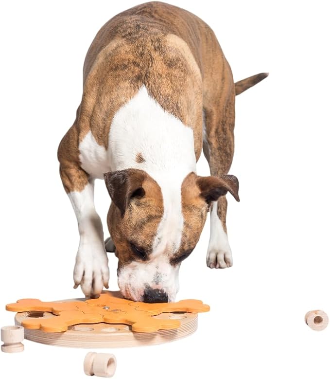 Carousel of Bones - Interactive Wooden Dog Puzzle Toy, Challenging Brain Game for Mental Stimulation and Enrichment, Fun Toy for Smart Pets
