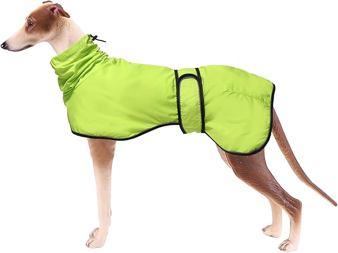 Dog Raincoat with Reflective Bar, Rain/Water Resistant, Adjustable Vest - Dog Raincoats for Greyhounds, Lurchers and Whippets - Light Green - XL