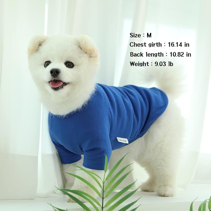 Dog Shirt for Small Dogs Plain T-Shirts Soft Breathable Dog Cotton Shirt pet Clothes (Large, Blue)