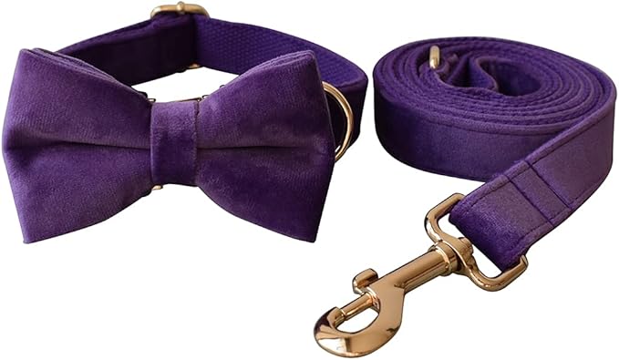 Dog Collar Custom Personalized Engraved Name and Phone Number for Puppy Small Medium Large Pets (M, Purple)