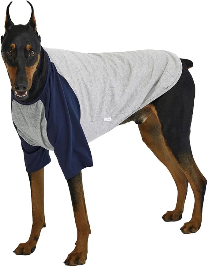 Dog Shirt for Large Dogs, Gray/Navy, X-Large, Cotton, Breathable, Lightweight, Raglan, Round Neck