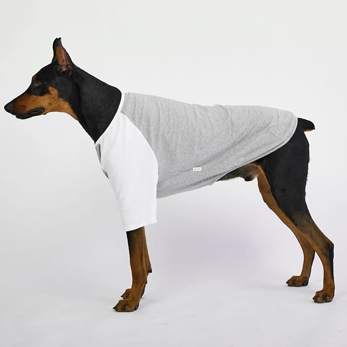 Dog Shirt for Small and Large Dogs Raglan Cotton T-Shirts Soft Breathable Dog Shirts pet Clothes Gray Series (2X-Large, Gray/White)