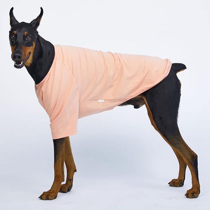 Dog Shirt for Small Dogs Plain T-Shirts Soft Breathable Dog Cotton Shirt pet Clothes (X-Large, Peach)