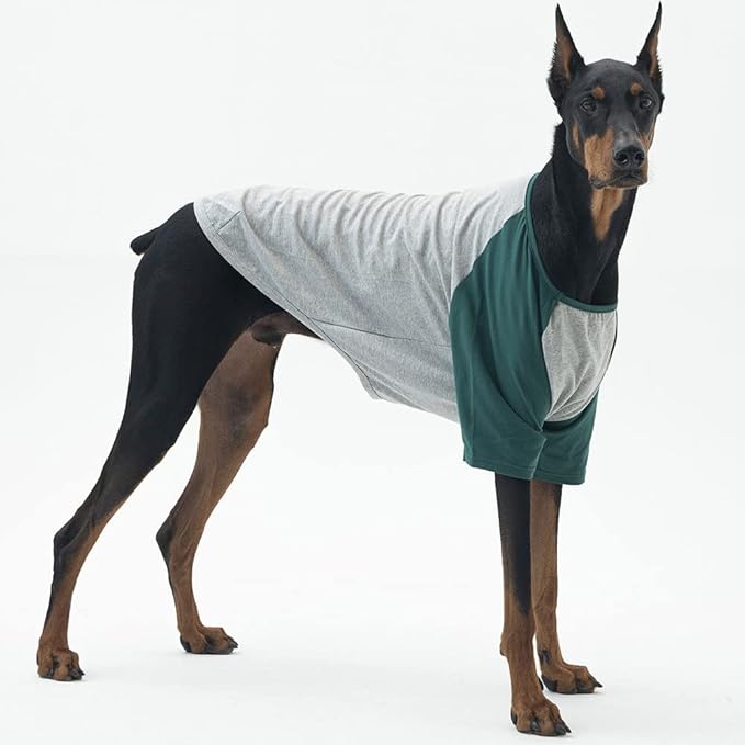 Dog Shirt for Small and Large Dogs Raglan Cotton T-Shirts Soft Breathable Dog Shirts pet Clothes Gray Series (3X-Large, Gray/Green)