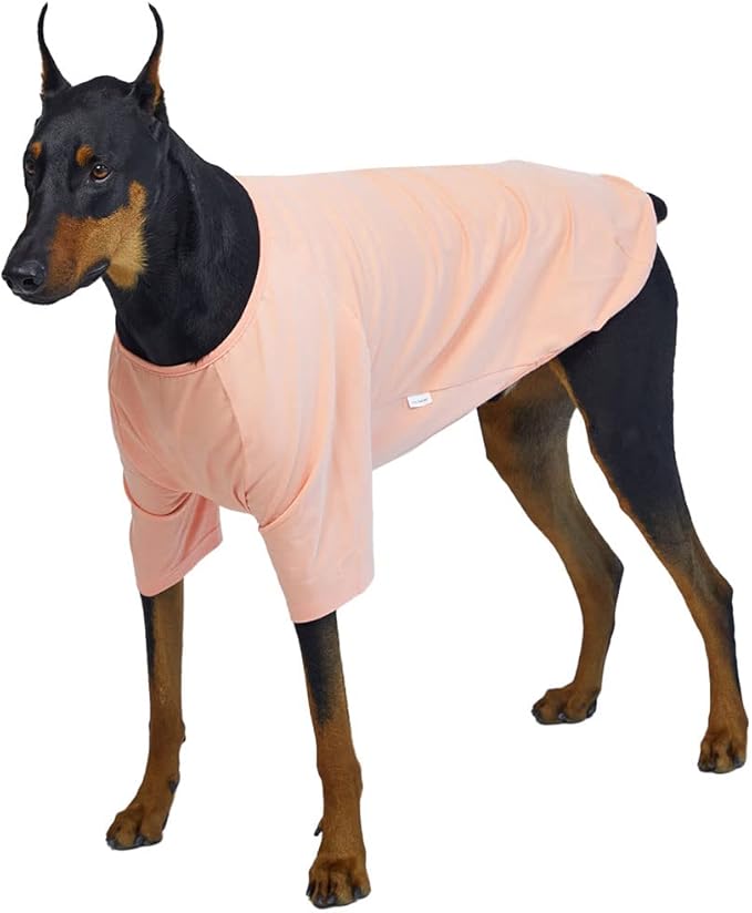 Dog Shirt for Small Dogs Plain T-Shirts Soft Breathable Dog Cotton Shirt pet Clothes (X-Large, Peach)