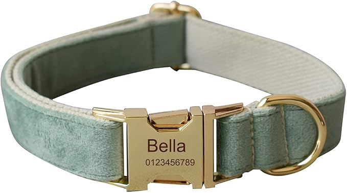 Dog Collar Custom Personalized Engraved Name and Phone Number for Puppy Small Medium Large Pets (S, Fruit Green)