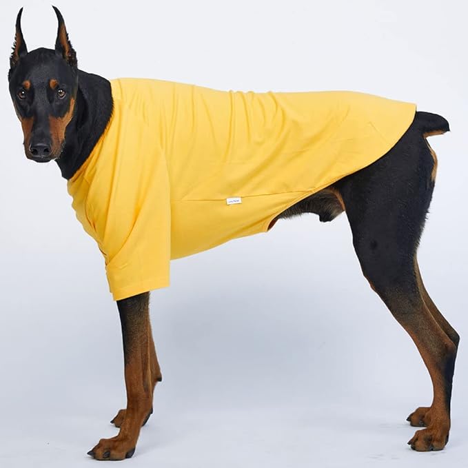 Dog Shirt for Small Dogs Plain T-Shirts Soft Breathable Dog Cotton Shirt pet Clothes (2X-Large, Yellow)