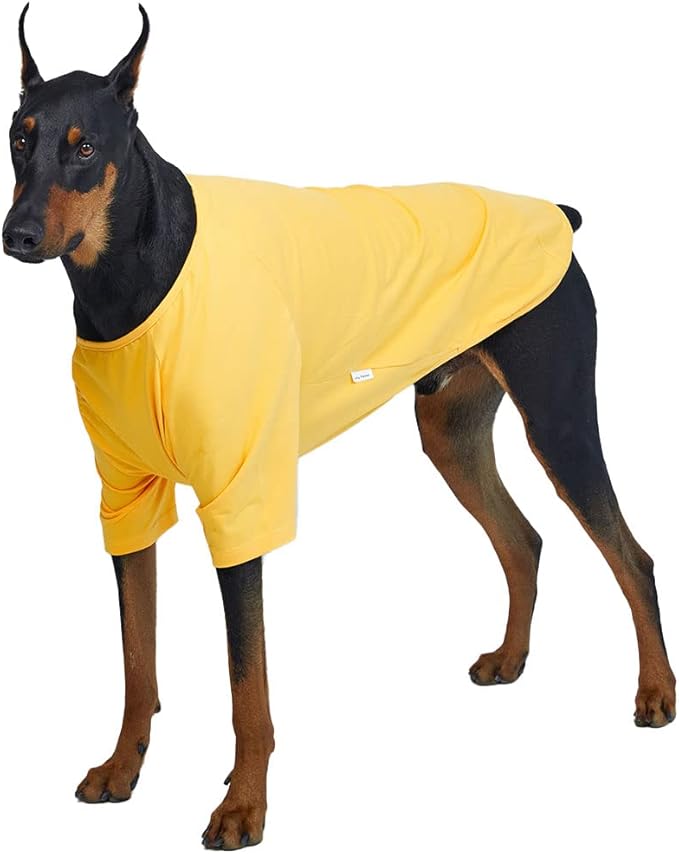 Dog Shirt for Small Dogs Plain T-Shirts Soft Breathable Dog Cotton Shirt pet Clothes (3X-Large, Yellow)