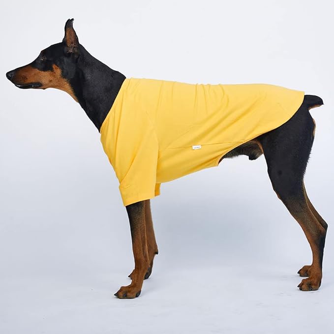 Dog Shirt for Small Dogs Plain T-Shirts Soft Breathable Dog Cotton Shirt pet Clothes (3X-Large, Yellow)