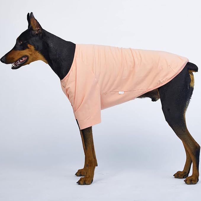 Dog Shirt for Small Dogs Plain T-Shirts Soft Breathable Dog Cotton Shirt pet Clothes (3X-Large, Peach)