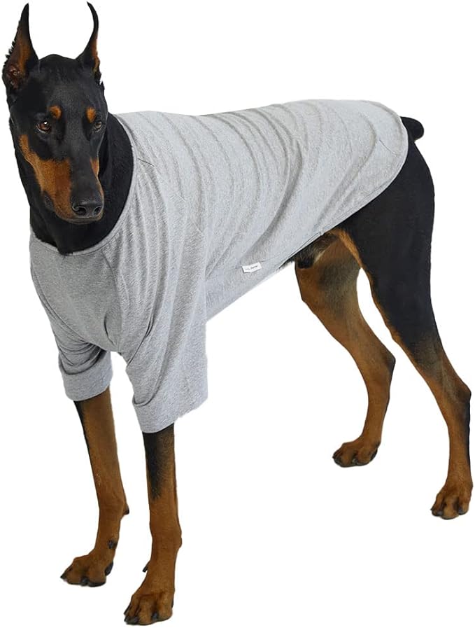Dog Shirt for Small Dogs Plain T-Shirts Soft Breathable Dog Cotton Shirt pet Clothes (X-Large, Gray)