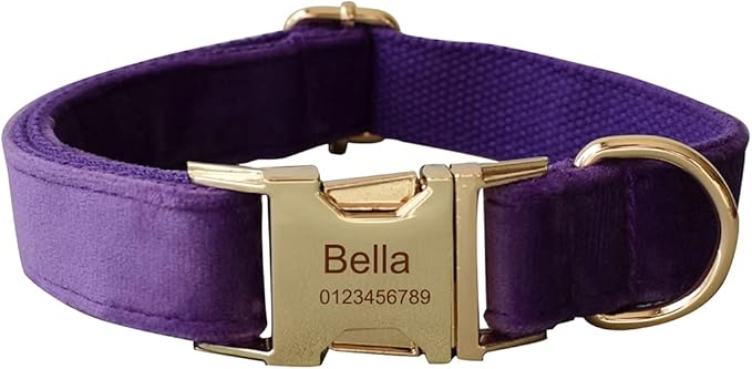 Dog Collar Custom Personalized Engraved Name and Phone Number for Puppy Small Medium Large Pets (XL, Purple)
