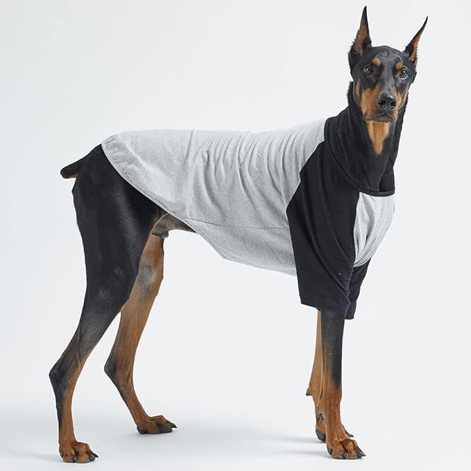Dog Shirt for Small and Large Dogs Raglan Cotton T-Shirts Soft Breathable Dog Shirts pet Clothes Gray Series (4X-Large, Gray/Black)