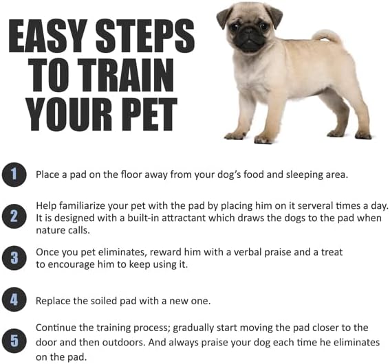 BV Puppy Pads Leak-Proof 300 Count 22"x 22" - Absorbent Pee Pads for Dogs with 6-Layer Design, Rapid Dry Sheet & Built-in Attractant - Dog Pad with Odor Control, Perfect for Puppies & Senior Dogs