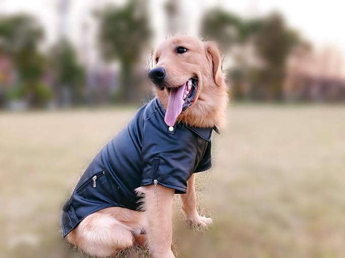 Lovelonglong Cool Dog Leather Jacket, Warm Coats Dogs Windproof Cold Weather Coats for Large Medium Small Dogs, Boston Terrier Bichon Clothing Black XXL