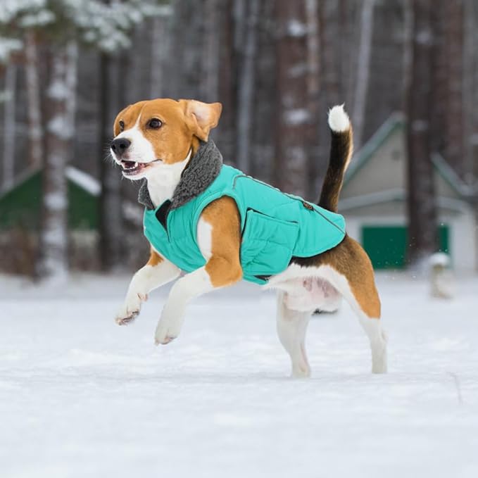 EMUST Winter Dog Coat for Medium Boys - Thick Clothes with Harness Hole for Cold Weather - Turquoise, M