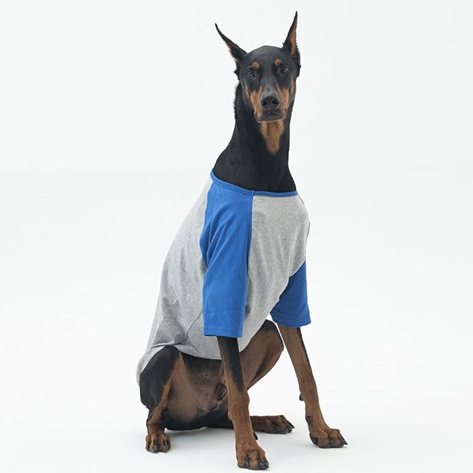 Dog Shirt for Small and Large Dogs Raglan Cotton T-Shirts Soft Breathable Dog Shirts pet Clothes Gray Series (5X-Large, Gray/Blue)