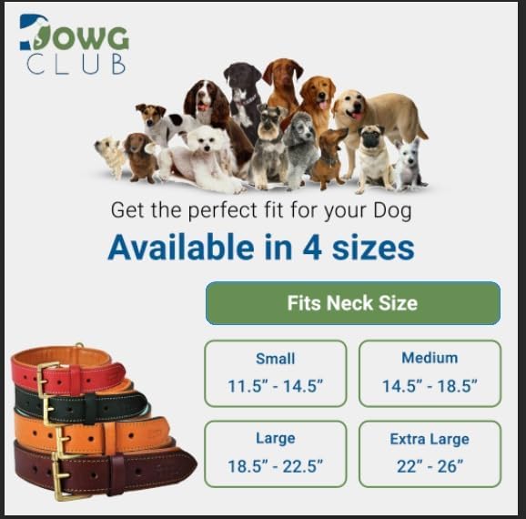 Leather Dog Collar for Medium Dogs, Black, 1 Inch Wide, Genuine Full Grain Leather, Heavy Duty with Soft Inner Padding, Comfortable and Durable (Medium (Fit Neck Size 14.5"-18.5"), Black)