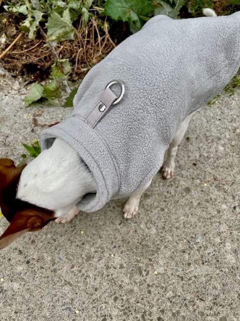 JACKO & CO - Fleece Vest Dog Sweater with Leash Ring - Soft, Warm & Lightweight Pullover Coat for Small & Medium Dogs, Puppies & Cats - Cozy Fall/Winter/Spring Pet Jacket (Grey, Large 10-16lbs)
