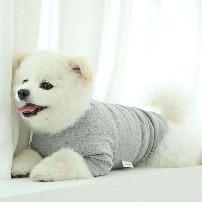 Dog Shirt for Small Dogs Plain T-Shirts Soft Breathable Dog Cotton Shirt pet Clothes (Medium, Gray)