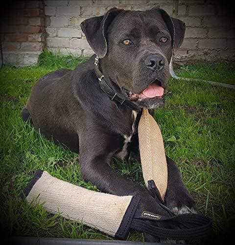 Dingo Gear Bite Tug with 1 Handle Reinforced for Dog Training and Fun 60 x 8 cm, Jute
