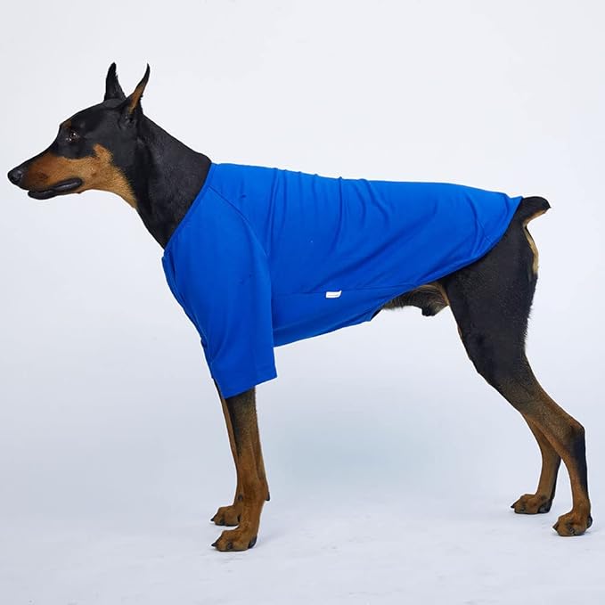 Dog Shirt for Small Dogs Plain T-Shirts Soft Breathable Dog Cotton Shirt pet Clothes (2X-Large, Blue)