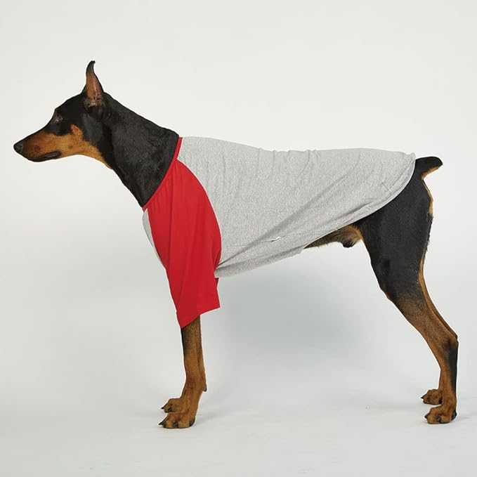 Dog Shirt for Small and Large Dogs Raglan Cotton T-Shirts Soft Breathable Dog Shirts pet Clothes Gray Series (2X-Large, Gray/Red)