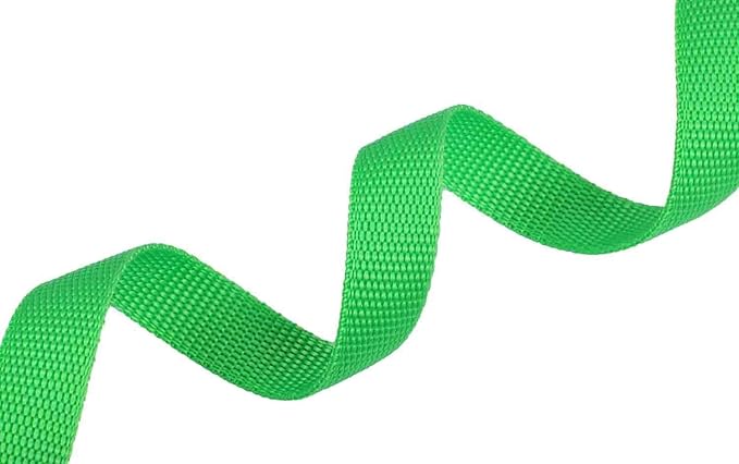 AMAGOOD 6 FT Puppy/Dog Leash, Strong and Durable Traditional Style Leash with Easy to Use Collar Hook,Dog Lead Great for Small and Medium and Large Dog (3/4 in x 6 ft(Pack of 1), Green)