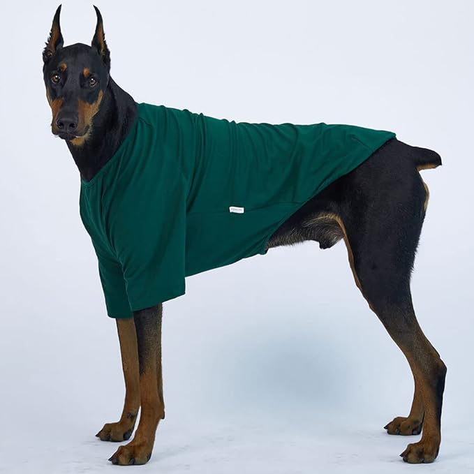 Dog Shirt for Small Dogs Plain T-Shirts Soft Breathable Dog Cotton Shirt pet Clothes (4X-Large, Green)