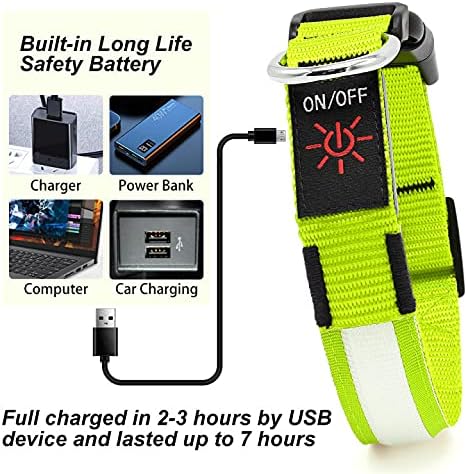 LED Dog Collar - Light Up, Waterproof, Adjustable Flashing, Rechargeable Visibility & Safety for Dogs (Green, Large)