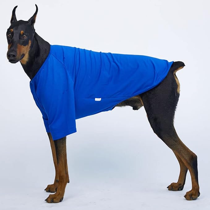 Dog Shirt for Small Dogs Plain T-Shirts Soft Breathable Dog Cotton Shirt pet Clothes (4X-Large, Blue)