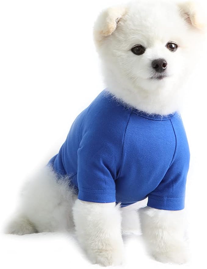 Dog Shirt for Small Dogs Plain T-Shirts Soft Breathable Dog Cotton Shirt pet Clothes (Large, Blue)