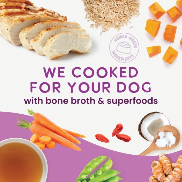 Health Extension Gently Cooked Chicken & Pumpkin Dog Food, Human-Grade & Shelf-Stable with Superfoods, Supports Digestion, Immunity, Skin & Coat, 3 oz Pouch (Pack of 20)
