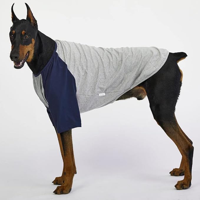 Dog Shirt for Small and Large Dogs Raglan Cotton T-Shirts Soft Breathable Dog Shirts pet Clothes Gray Series (2X-Large, Gray/Navy)
