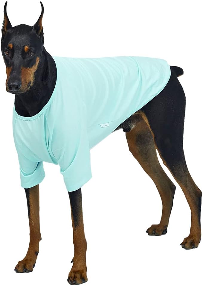 Dog Shirt for Small Dogs Plain T-Shirts Soft Breathable Dog Cotton Shirt pet Clothes (3X-Large, Mint)